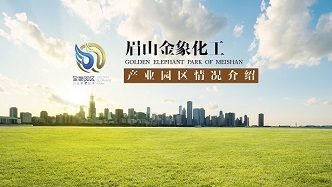 眉山金象化工产业园区简介PPT